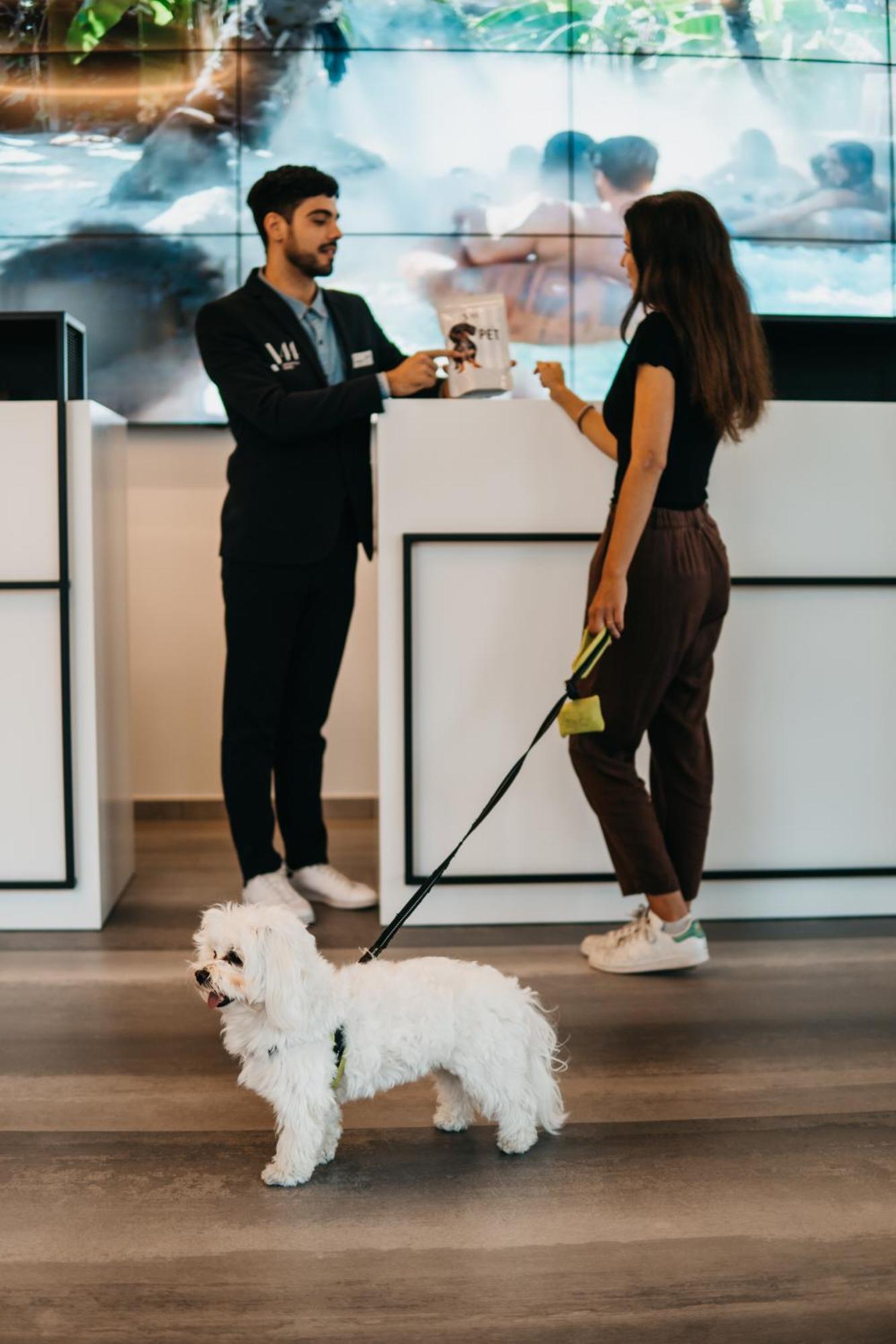 J44 Lifestyle Hotel Lido di Jesolo Exterior foto Dog at the reception of a hotel